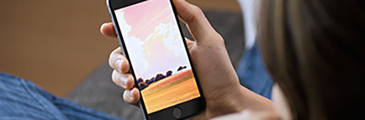 Покупка телефонов